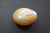 Pebble - Polychrome Jasper 07
