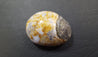 Pebble - Orbicular Jasper 01