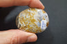 Pebble - Orbicular Jasper 01