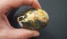 Pebble - Orbicular Jasper 04
