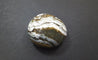 Pebble - Orbicular Jasper 08