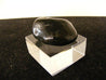 Shungite M