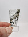 Dendritic Quartz - Brazil